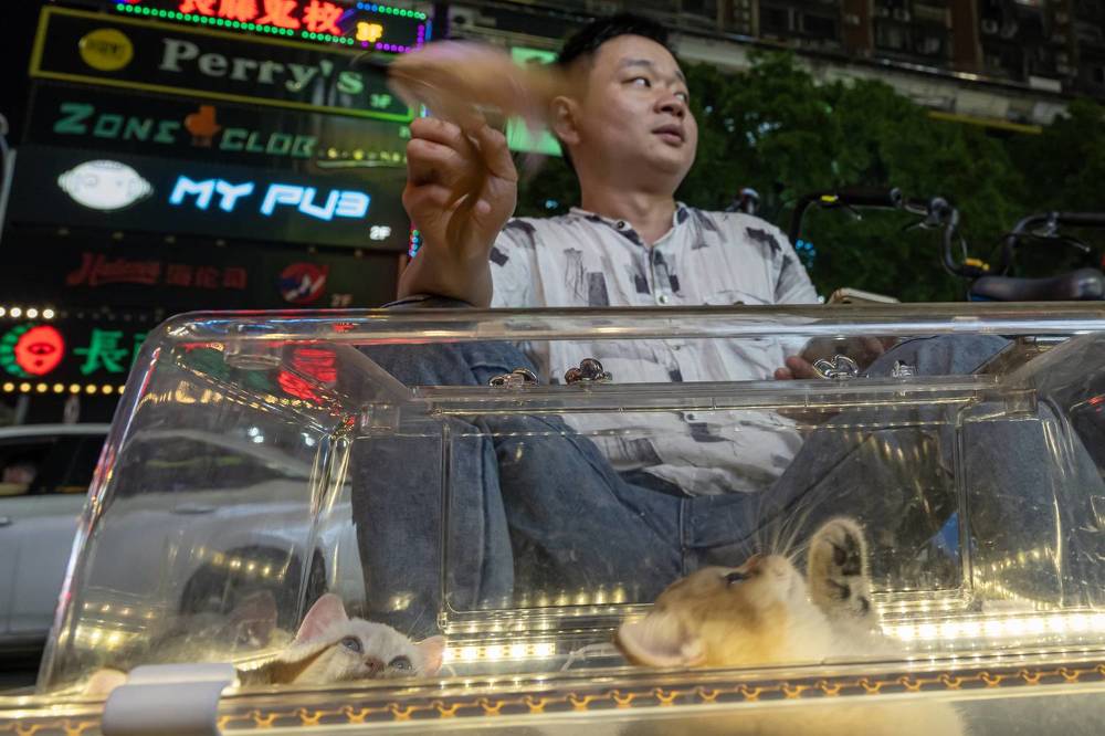 Photograph by Бахтадзе Дмитрий