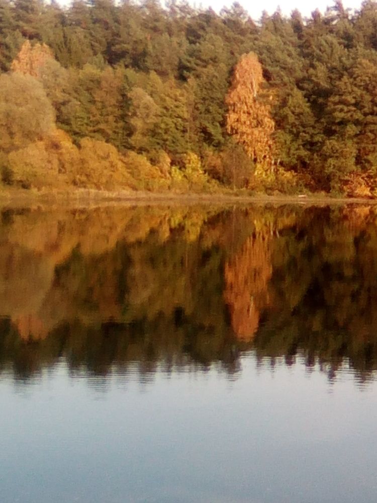 Photograph by Светлана Петрова