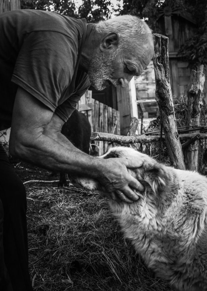 Photograph by Евгения Журавлева