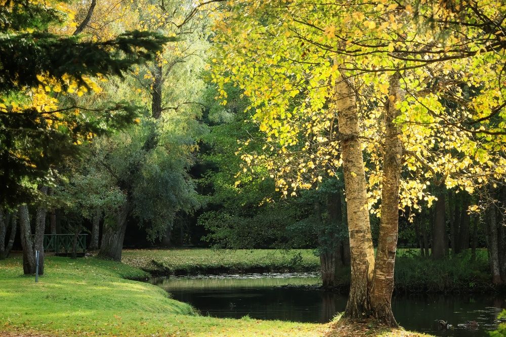 Photograph by Olga Asson