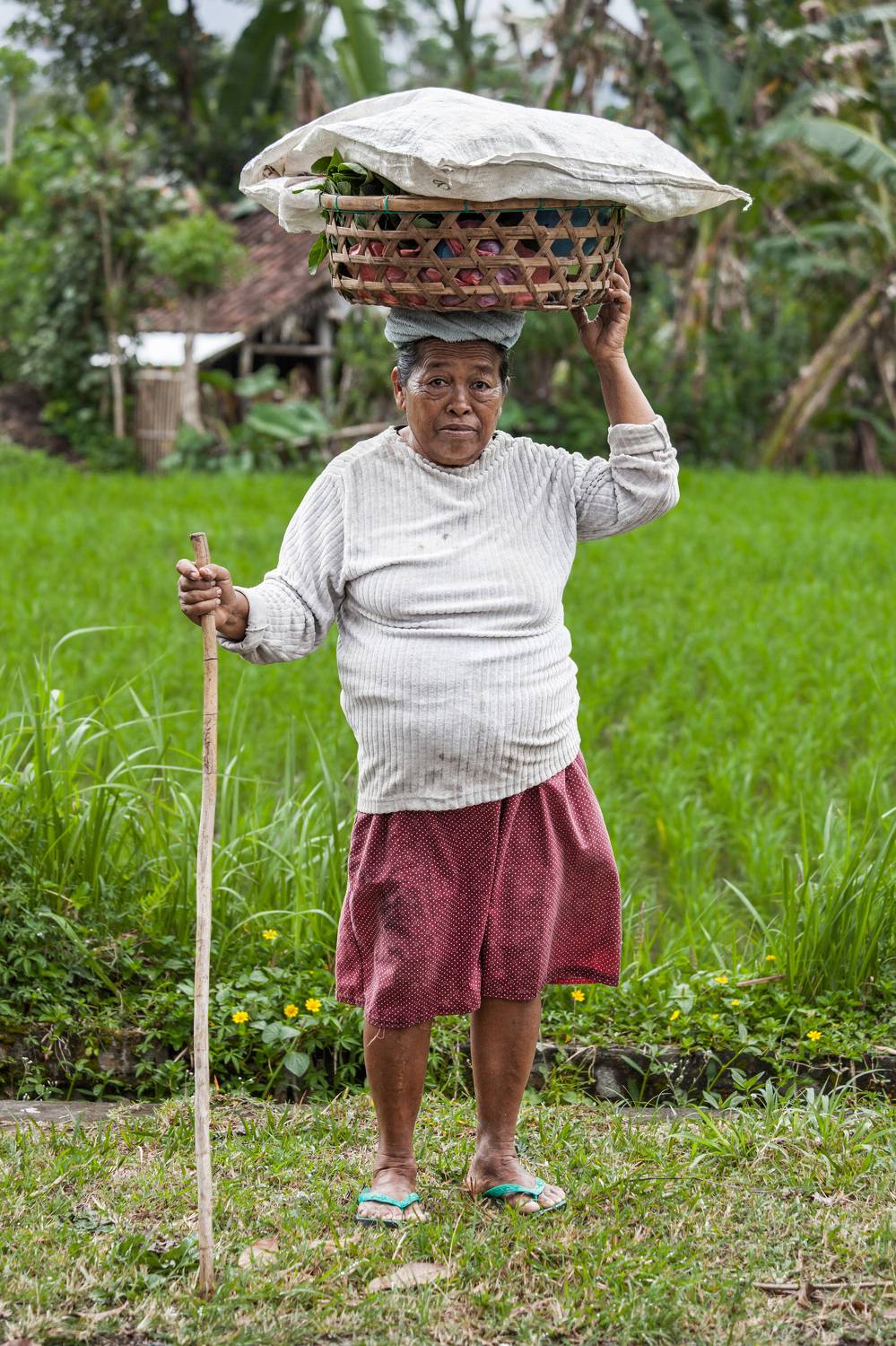 Фотография #11171229