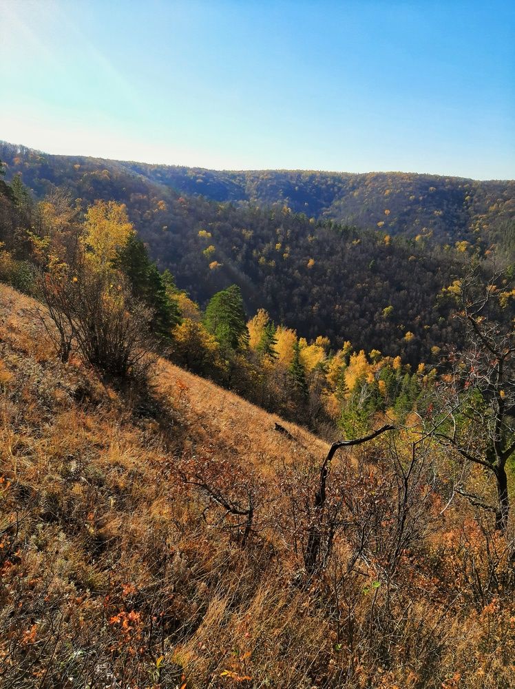 Photograph by Бакшеева Марина