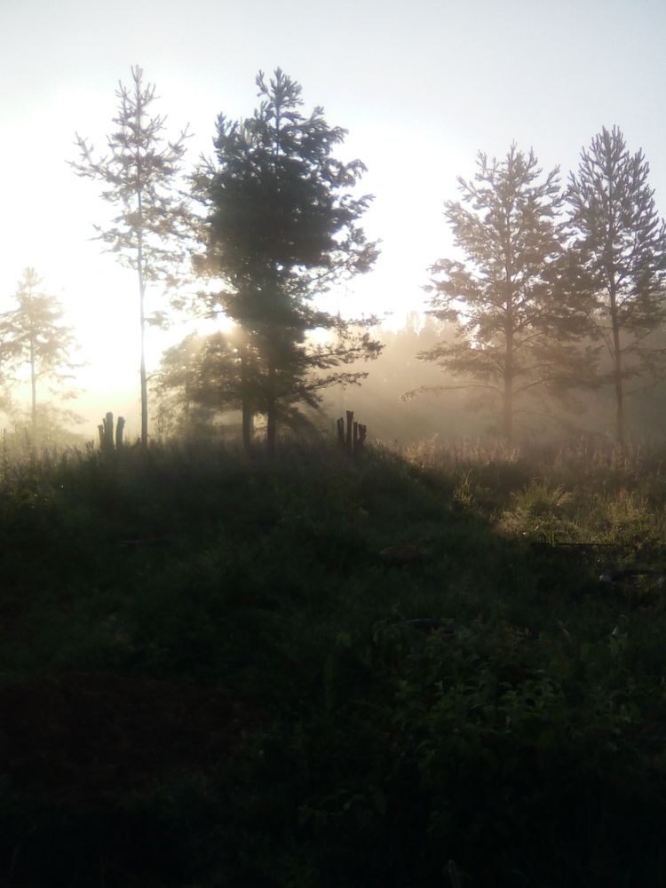 Photograph by Светлана Петрова