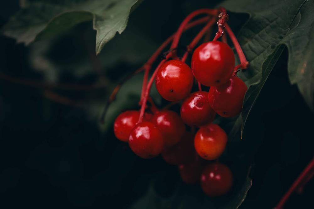 Photograph by Евгения Журавлева