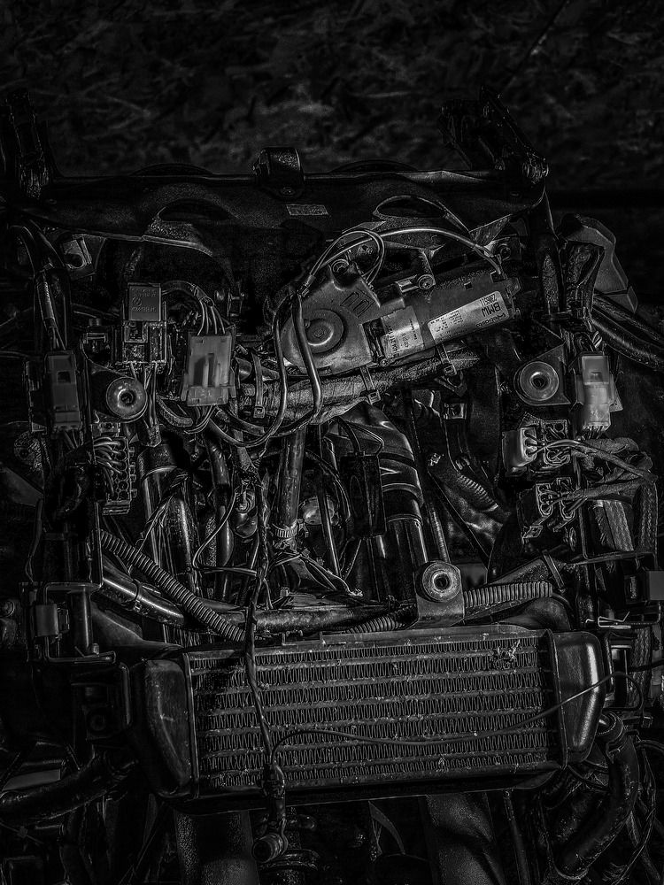 Photograph by Сергей Гриднев