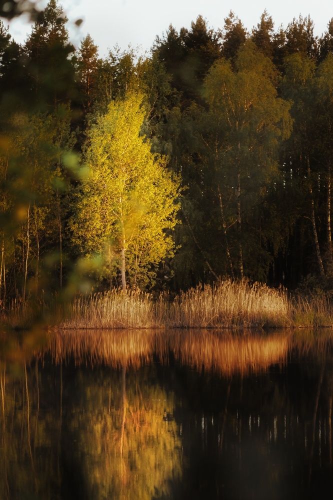 Photograph by Yuliya Karpova