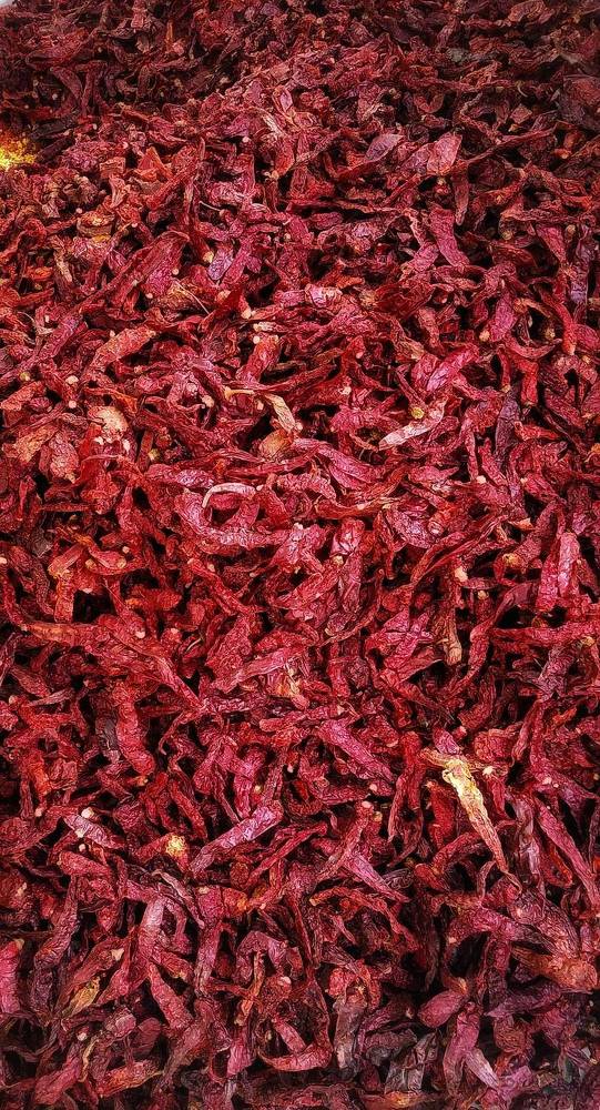 A Fiery Pathway of Red Mirchi