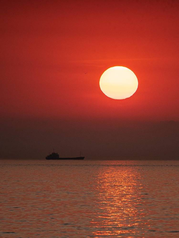 Photograph by Дмитрий Хорошилов