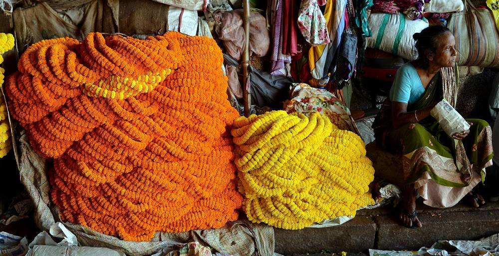 Photograph by Dipankar Majumdar