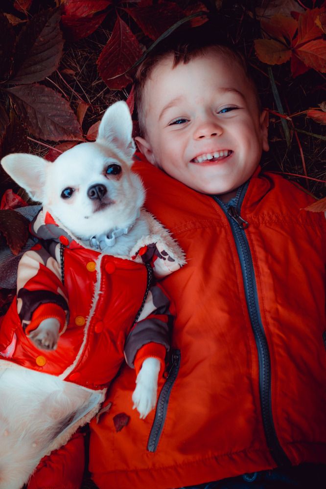 Photograph by Анна Виноградская