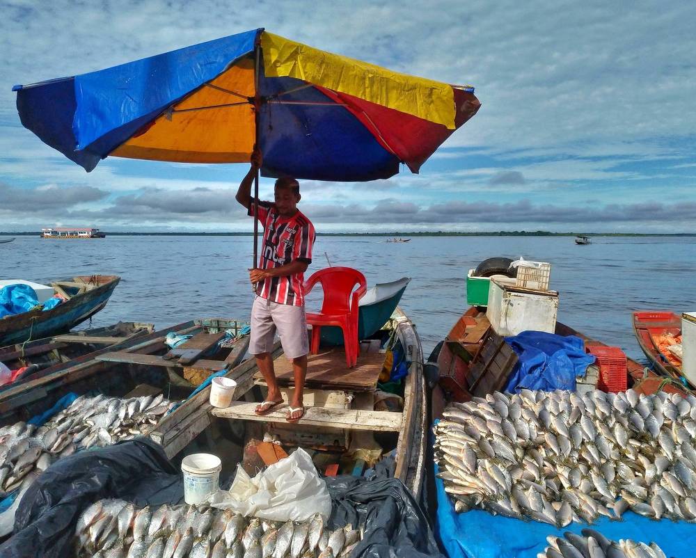 Фотография автора Diogo Thompson Ribeiro