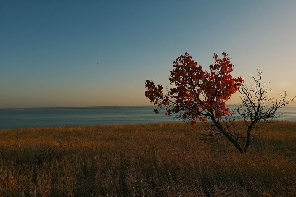 Photograph by Дарья Ефанова