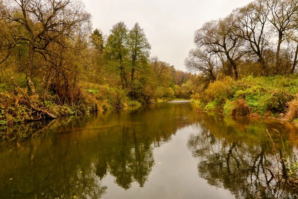 Photograph by Дарья Булавина