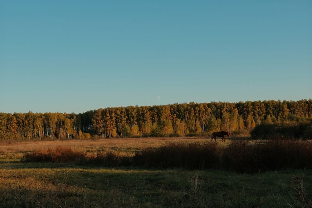 Photograph by Дарья Ефанова