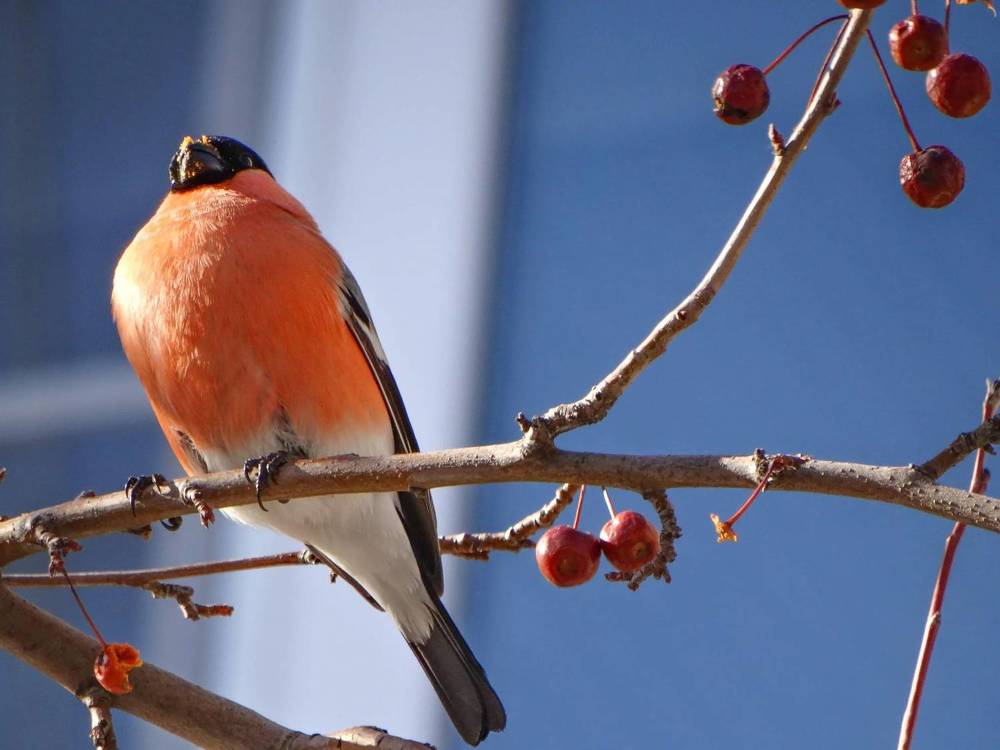 Photograph by Анжелика Трошина