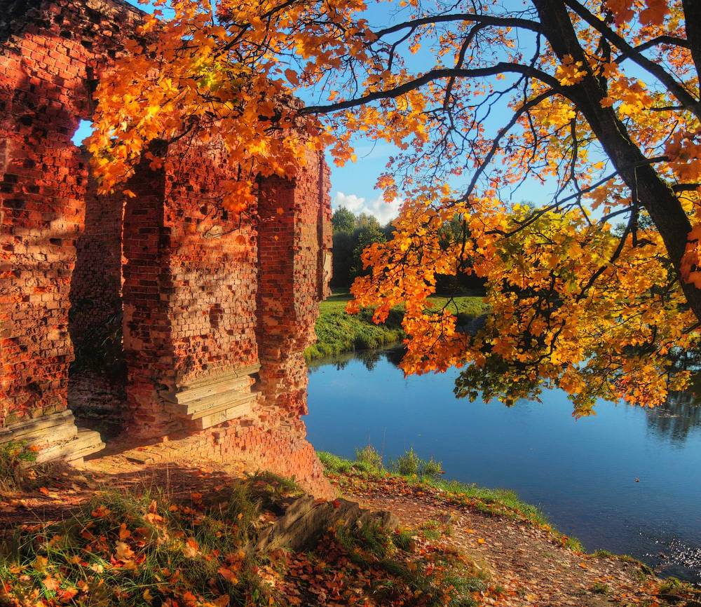 Photograph by Сергей Григорьев