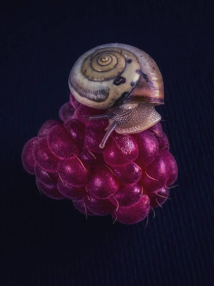 Photograph by Ольга Скиба
