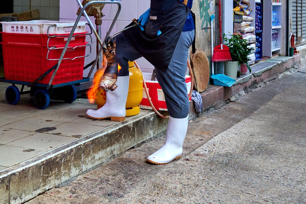 Photograph by CHEN JUN