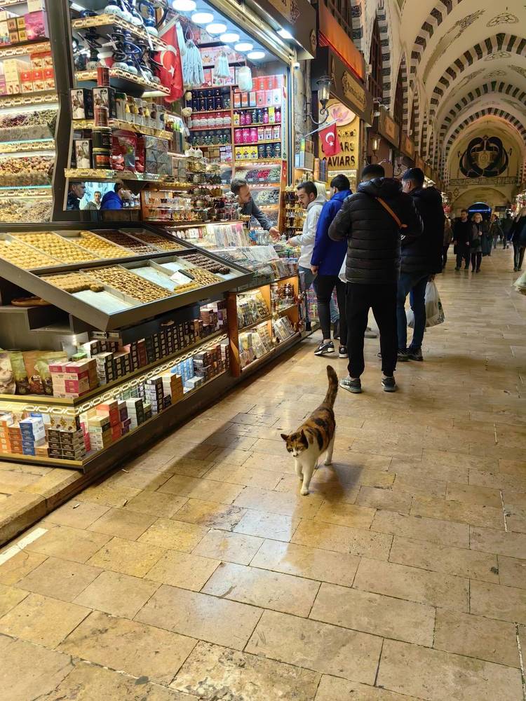 Photograph by Светлана Зыкова