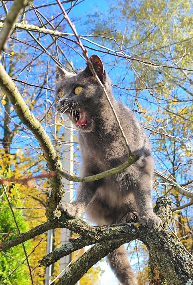 Photograph by Екатерина Борисовна Кузьмина