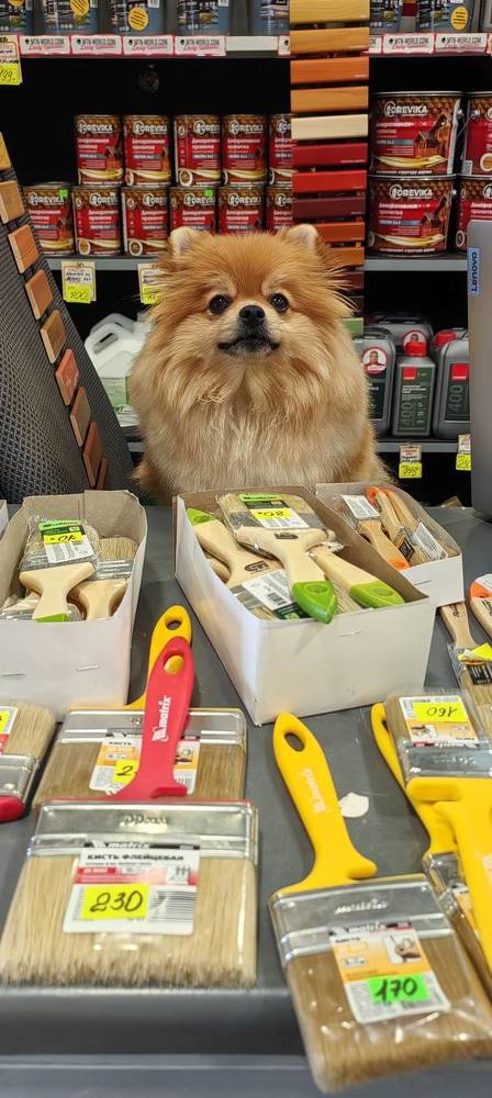 Фотография автора Татьяна Марсуверских