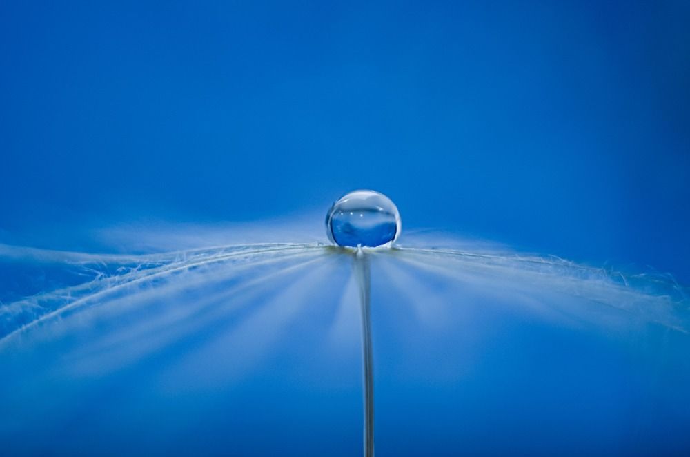 Photograph by Наталья Алексеева