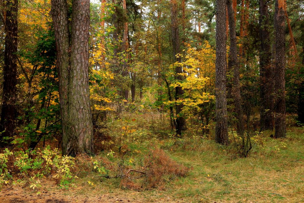 Photograph by Юрий Морозов