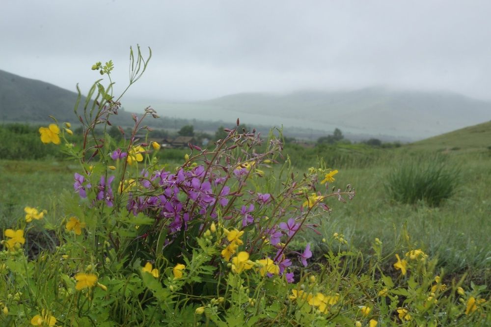 Photograph by Светлана Максимова