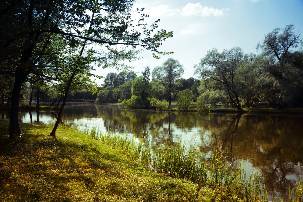Естественный водоем в городском парке