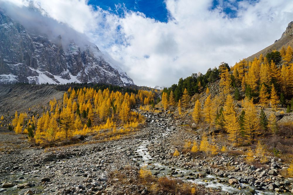 Photograph by Андрей Бостаногов