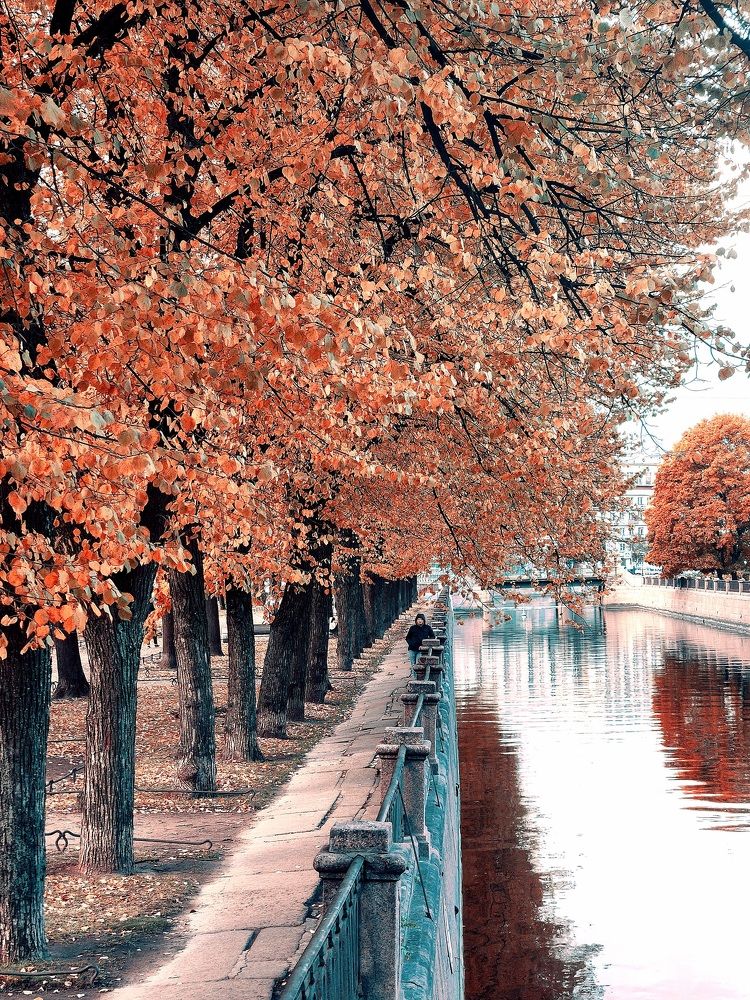 Photograph by Дмитрий Хорошилов