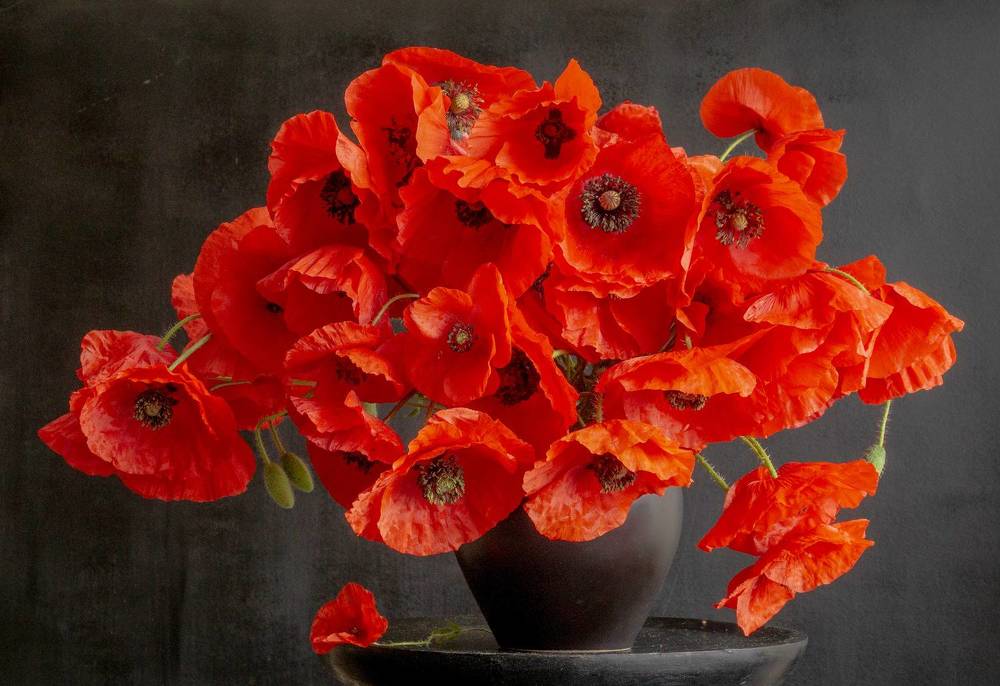 Photograph by Milla Walmus