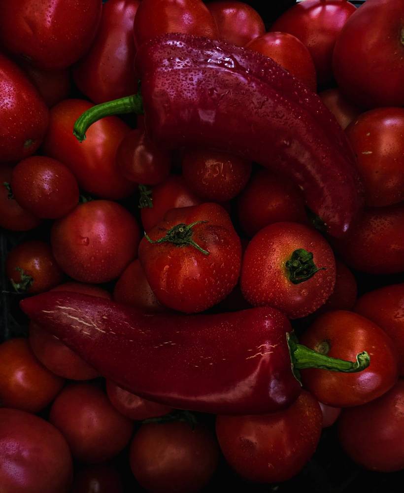 Фотография автора Ольга Шишук