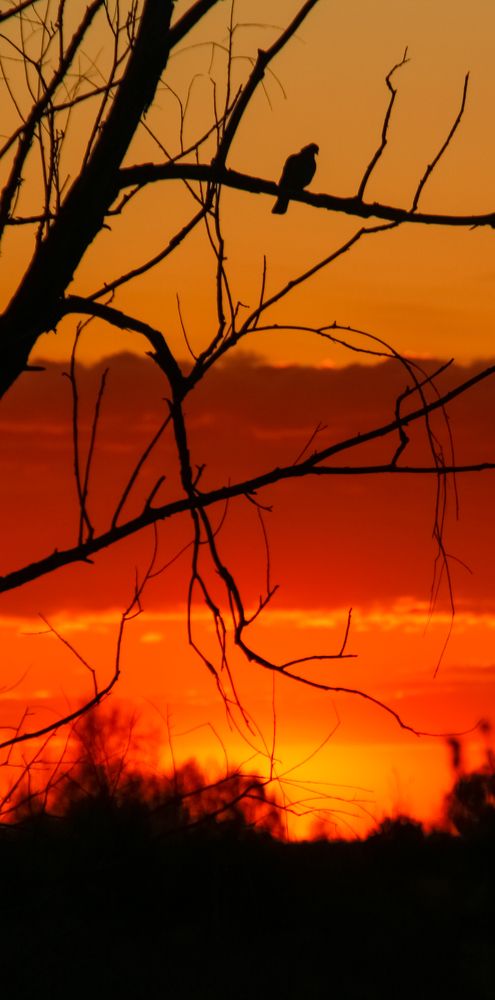 Photograph by Илья Воякин