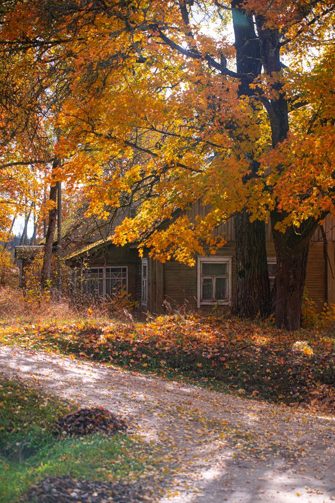 Photograph by Саша Зугров