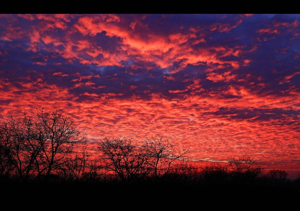 Photograph by Eperjessy Adrian