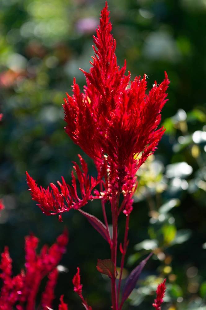 Photograph by Екатерина Одинцова