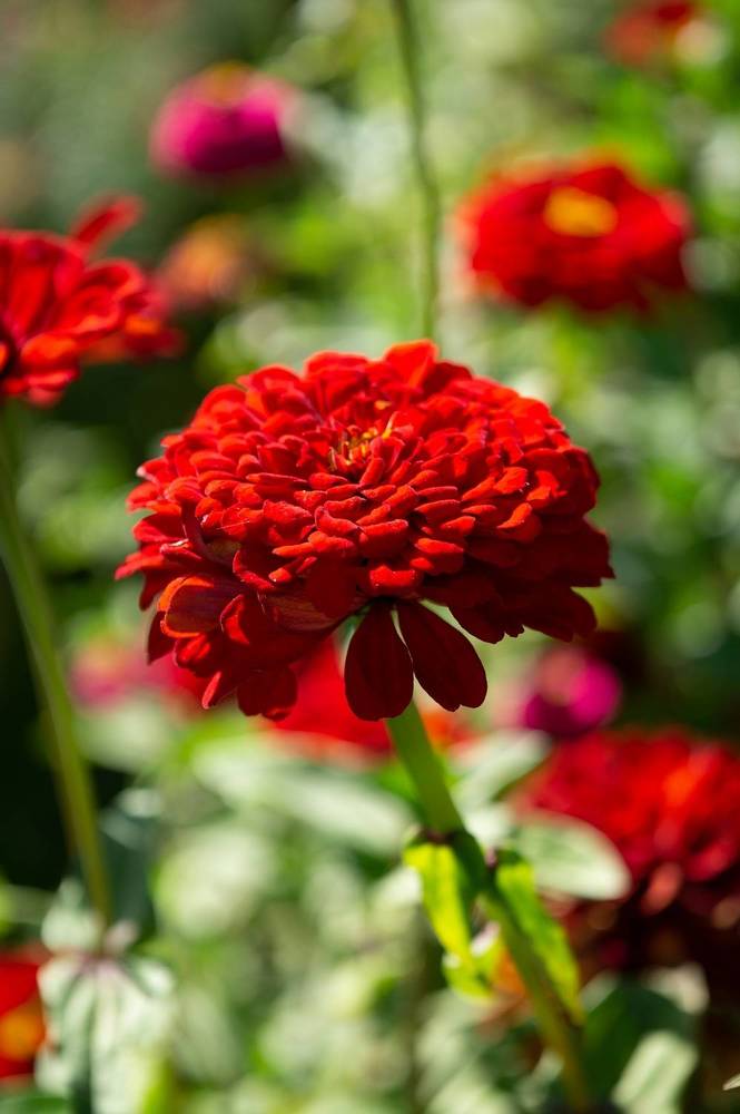 Photograph by Екатерина Одинцова