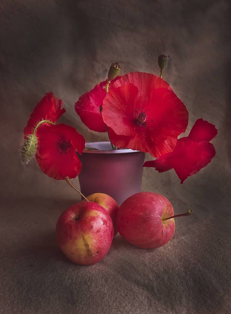 Photograph by Татьяна Гатиятуллина