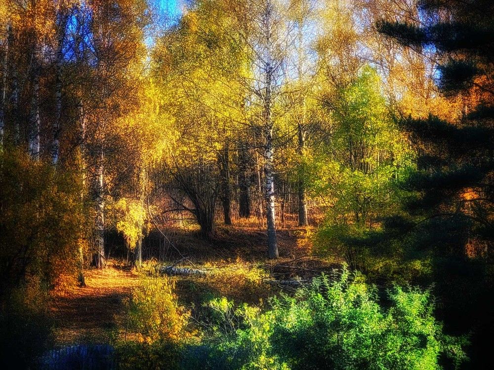 Photograph by Сергей Назаредский