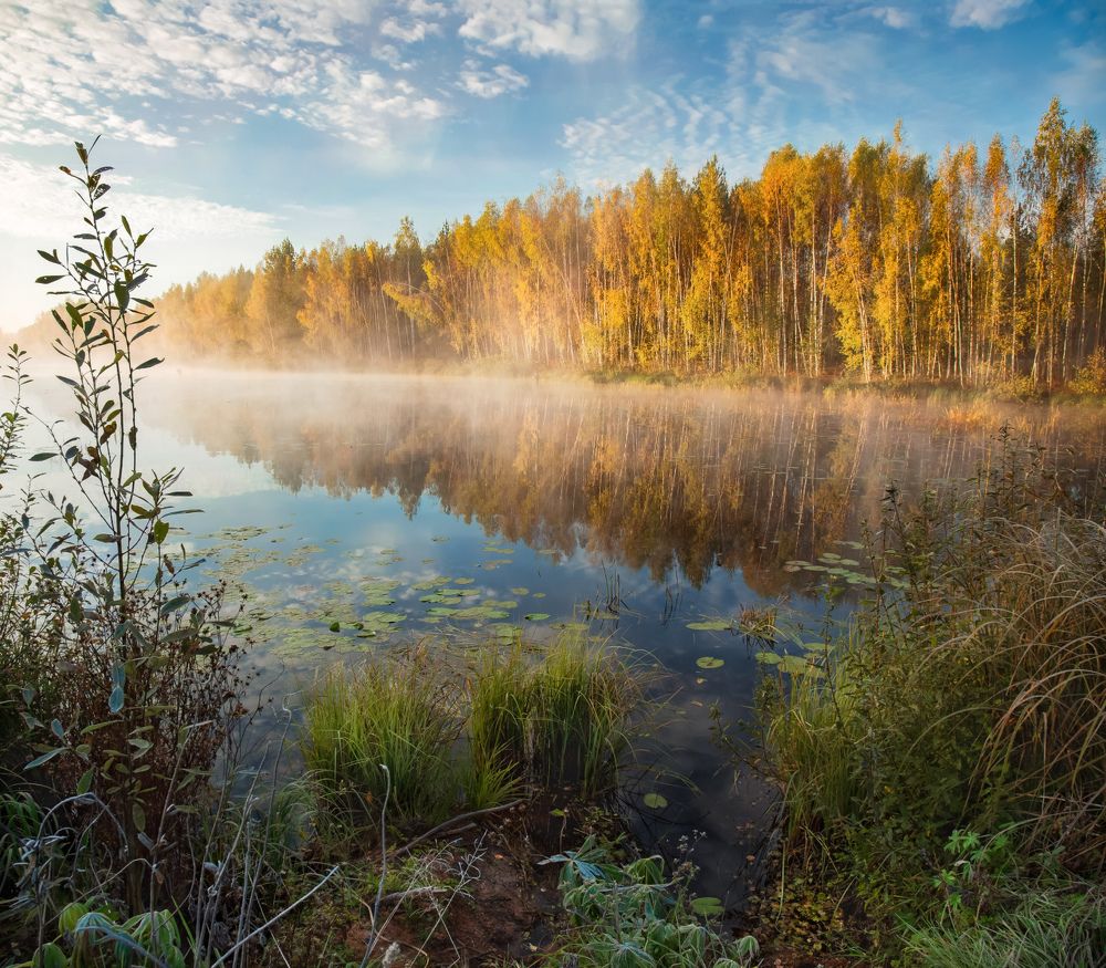 Photograph by Алексеев Дмитрий