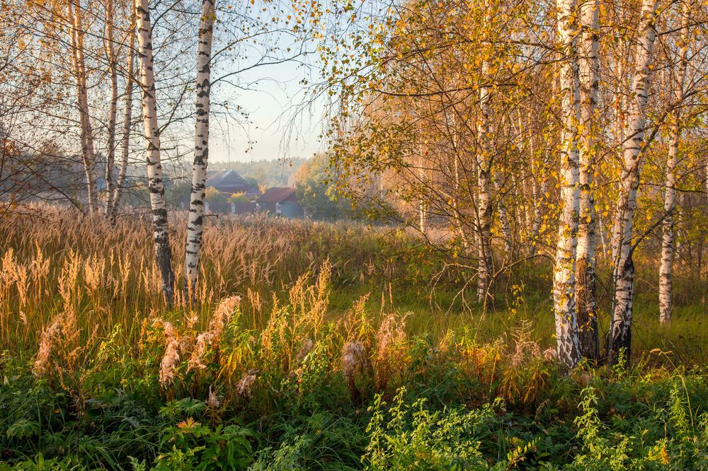 Photograph by Алексеев Дмитрий