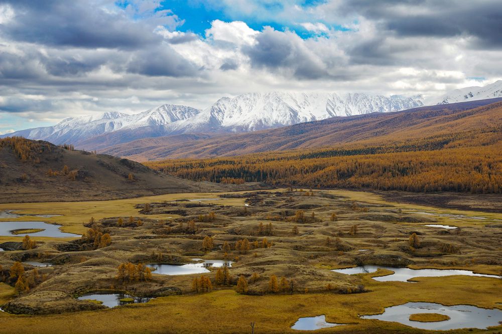 Photograph by Андрей Бостаногов