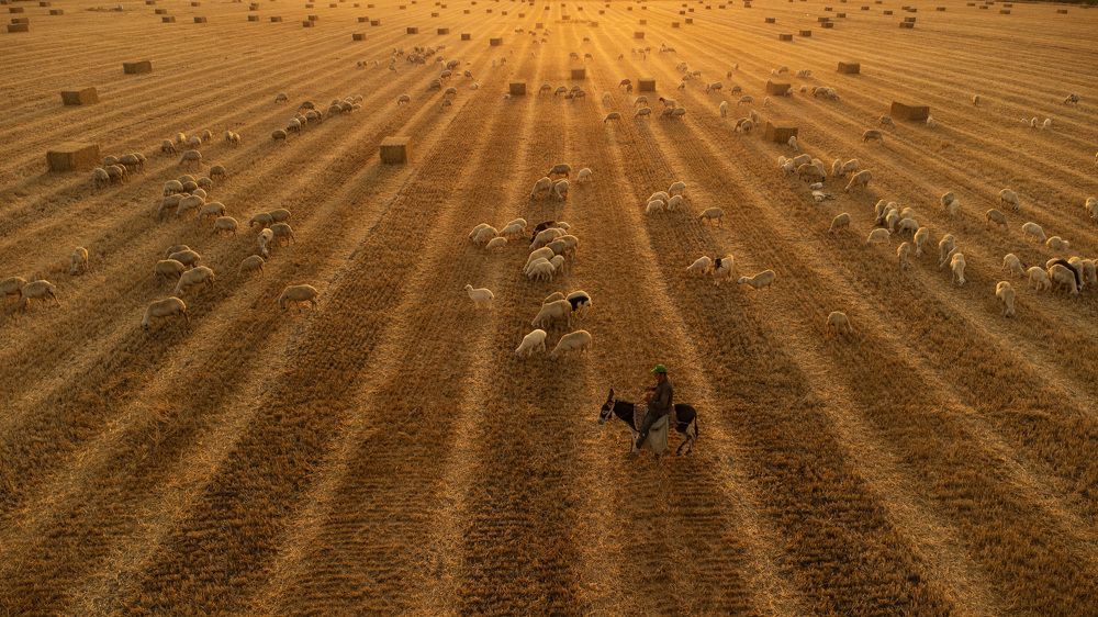 Photograph by MUHAMMET ÖZEN