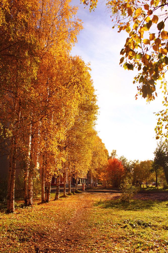 Photograph by Татьяна Февральская