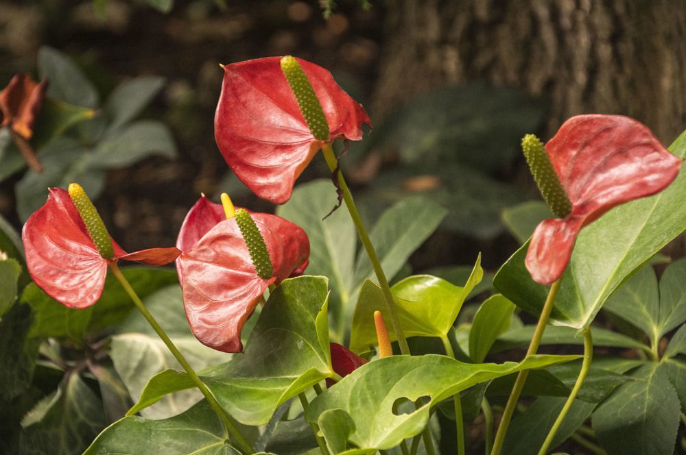 Photograph by Екатерина @Arigata