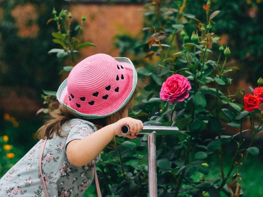 Photograph by Ахсарбек Абаев