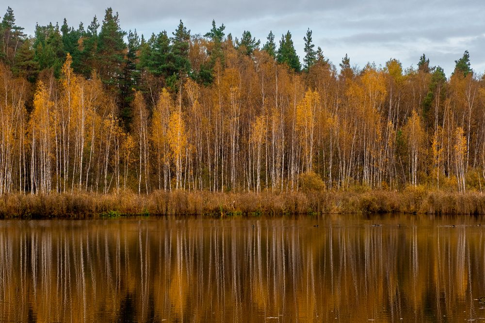 Фотография автора 