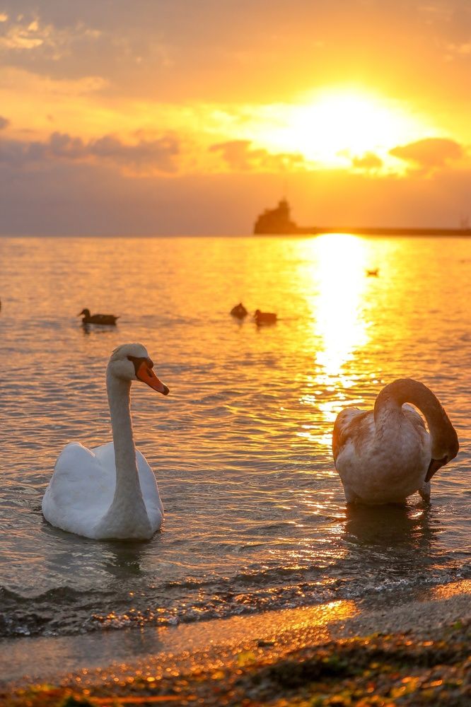 Photograph by Полина Крылова