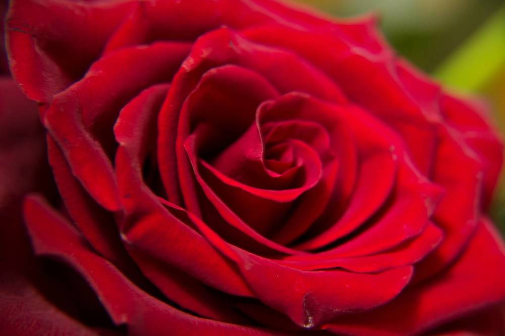 Фотография автора Юлия Кранина